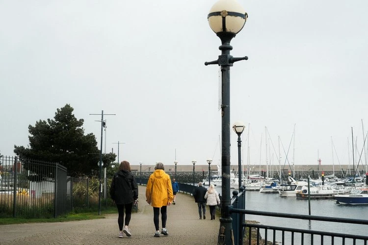 Chrome Fog by Ross - Image 2