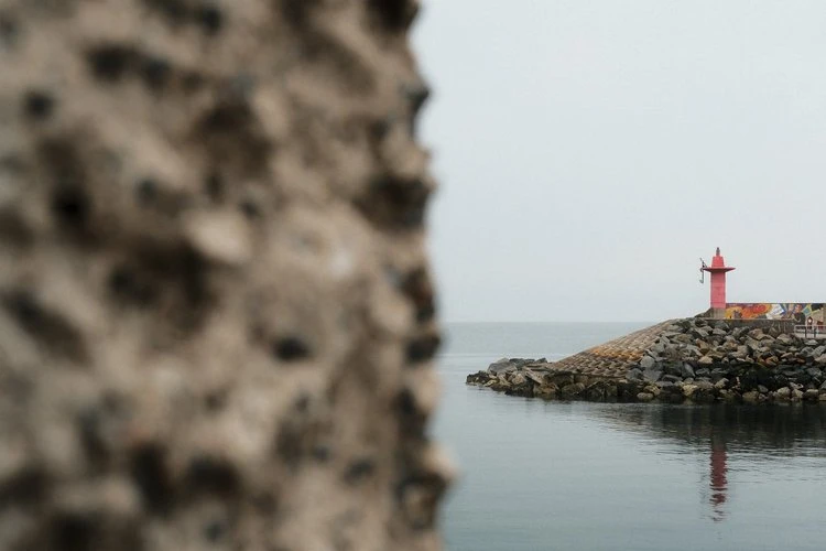 Chrome Fog by Ross - Image 3