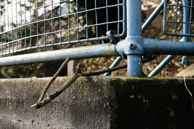 Contrast Chrome by Ross - Image 3