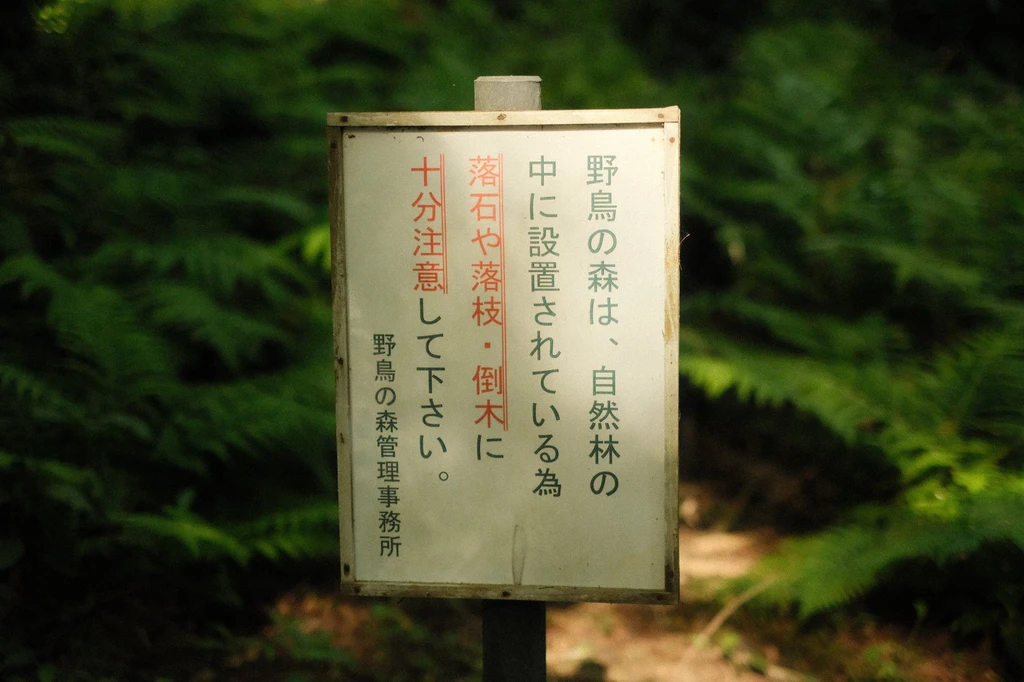 Nostalgia Neg Like - Image 1