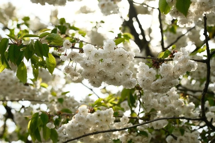 Nurture Nature by Ross - Image 2