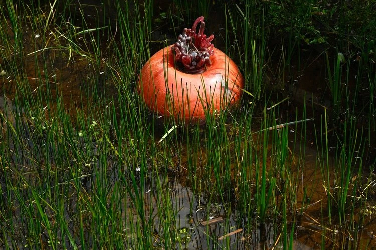 Nurture Nature by Ross - Image 3