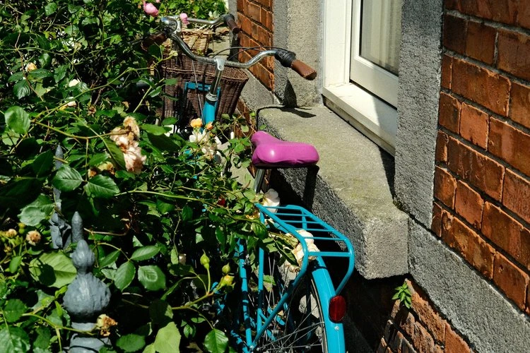 Ultramax Electro by Ross - Image 3