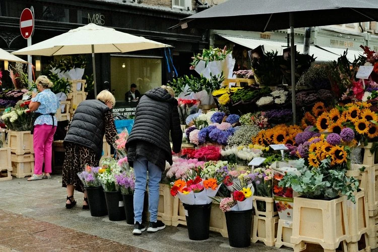 Ultramax Electro by Ross - Image 4