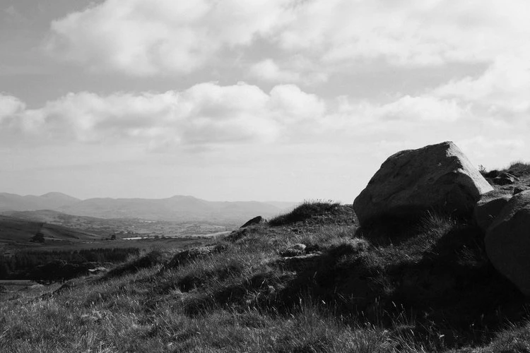 XP2 Electro by Ross - Image 1