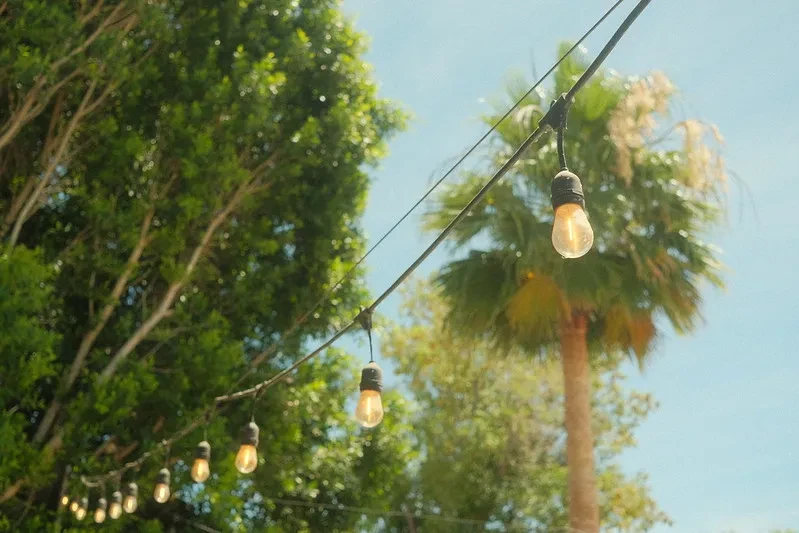 Bright Kodak - Image 1