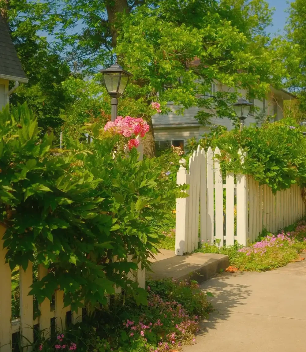 Keylime Summer Recipe - Image 1