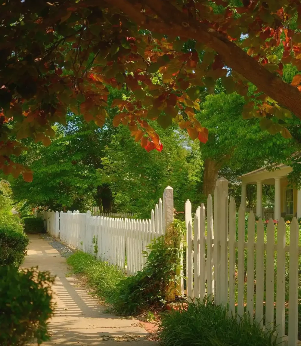 Keylime Summer Recipe - Image 2