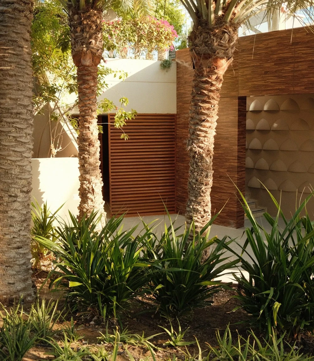 Kodak Portra 400 - Image 1