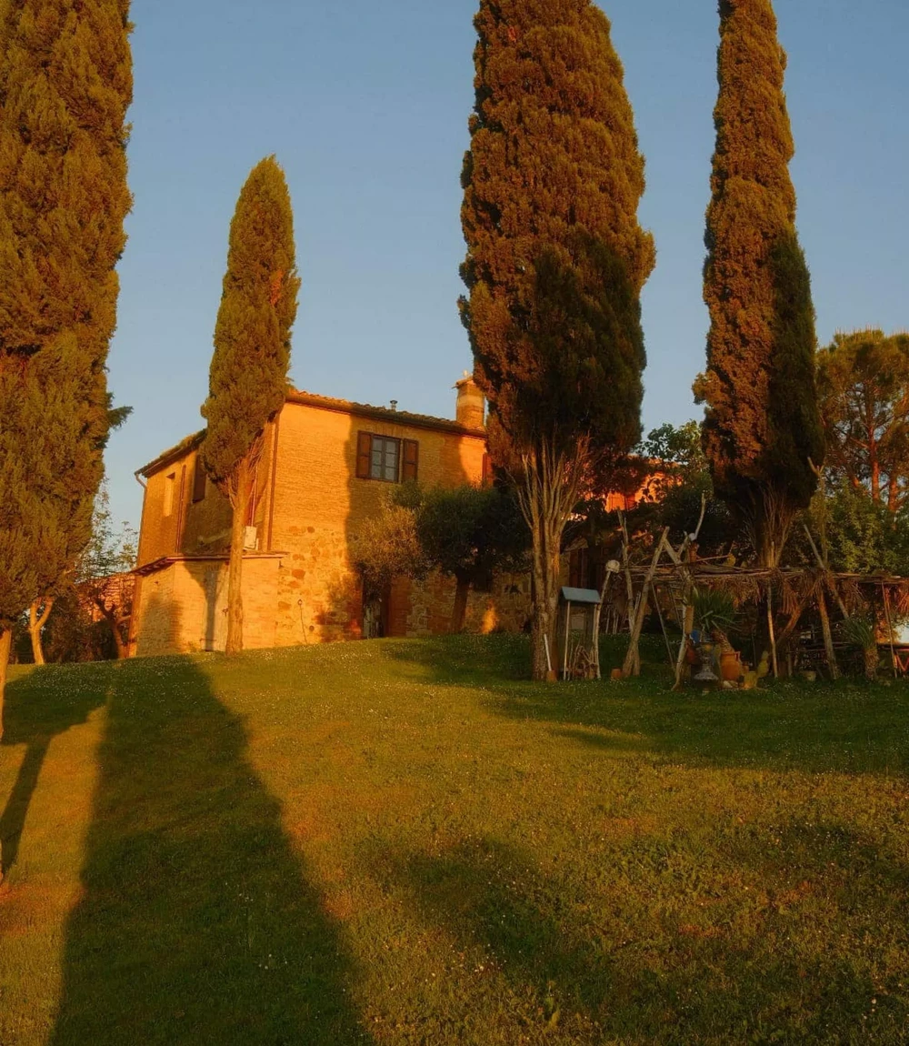 La Dolce Vita - Image 2