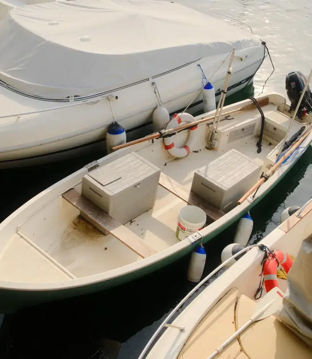 Vibrant Astia Soft - Image 1