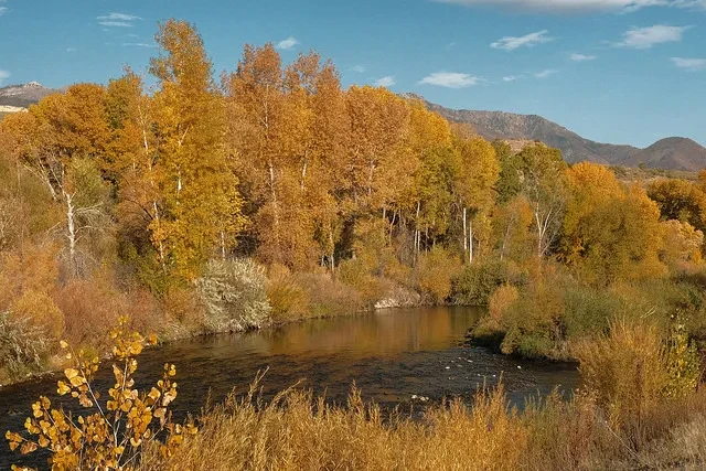 Vintage Kodachrome - Image 2